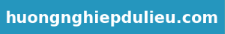 Hướng Nghiệp Dữ Liệu NoCode